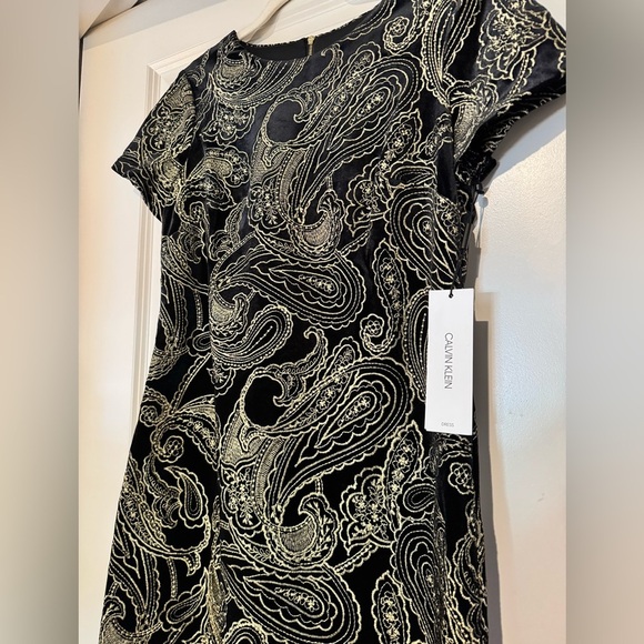 NEW Calvin Klein Womens Short Sleeve Embroidered Velvet Shift Dress Size 6 NWT - Picture 5 of 9